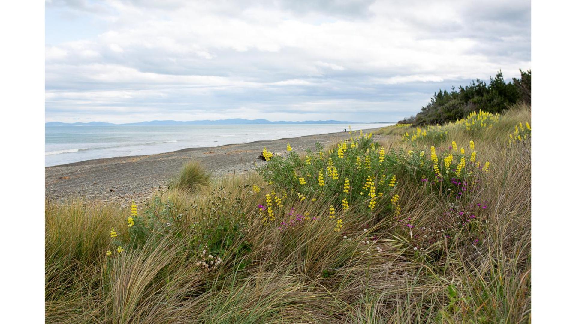 Pacific View By Tiny Away Villa Leithfield Luaran gambar
